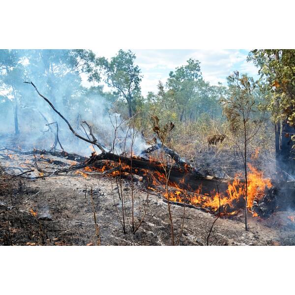Bushfire Home Defence Kits
